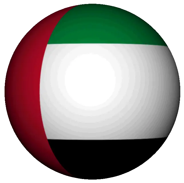 Dubai Flag